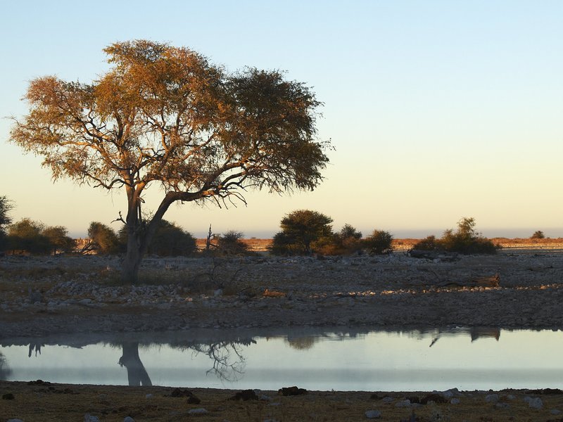 Etosha National Park, Okaukuejo